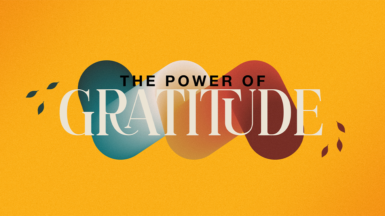 The Power of Gratitude