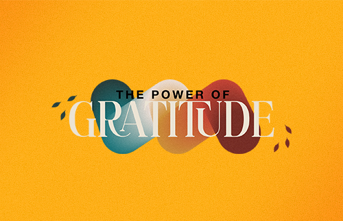 The Power of Gratitude